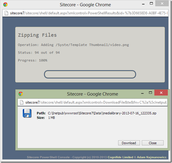 ZipAndDownloadMediaLibrary